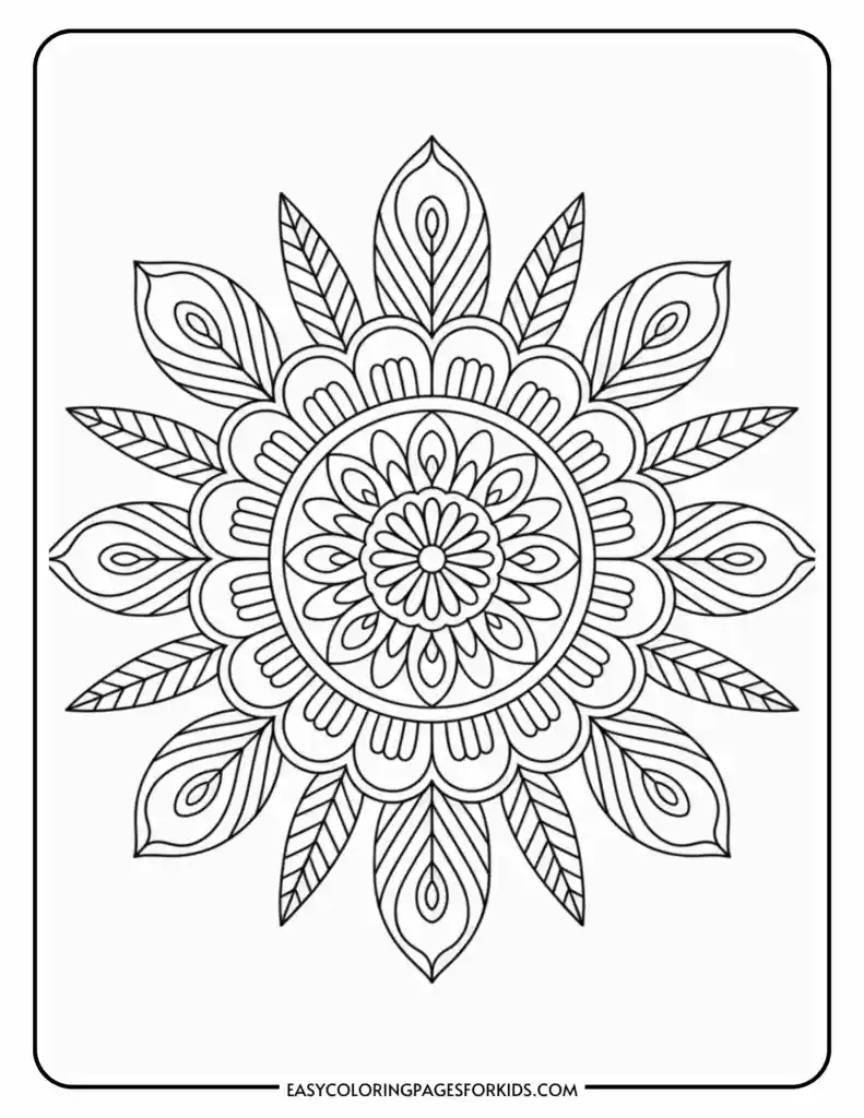 A black and white mandala design with intricate patterns including petals, leaves, and concentric circles, set within a rectangular border.