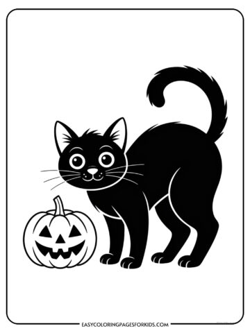A Halloween black cat with an arched back and fluffy tail stands beside a carved pumpkin.