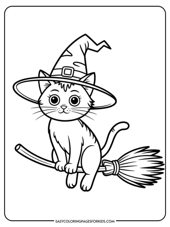 A cute cat wearing a pointed witch hat sits on a broomstick ready for Halloween adventures.