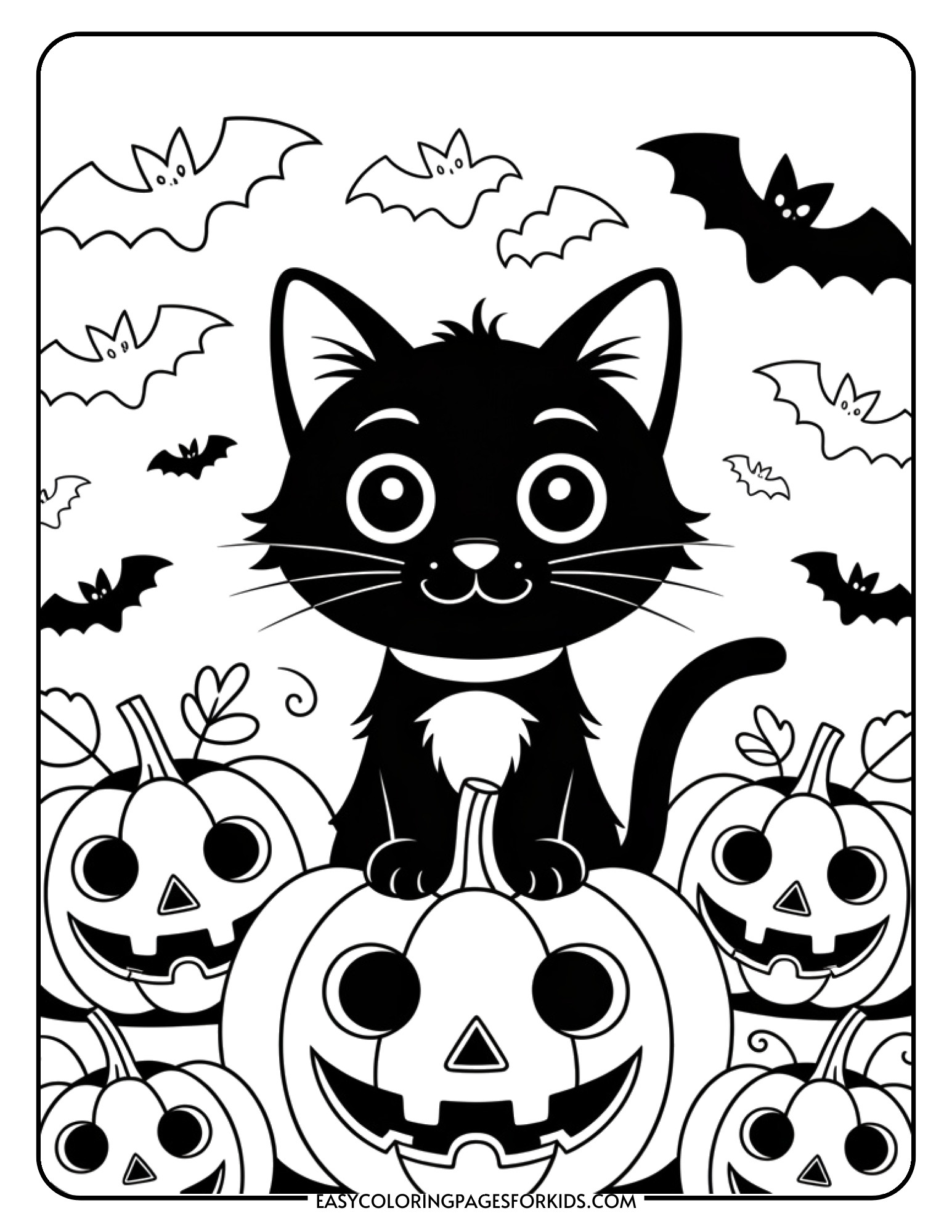 A friendly black cat sits surrounded by smiling carved pumpkins with different expressions.