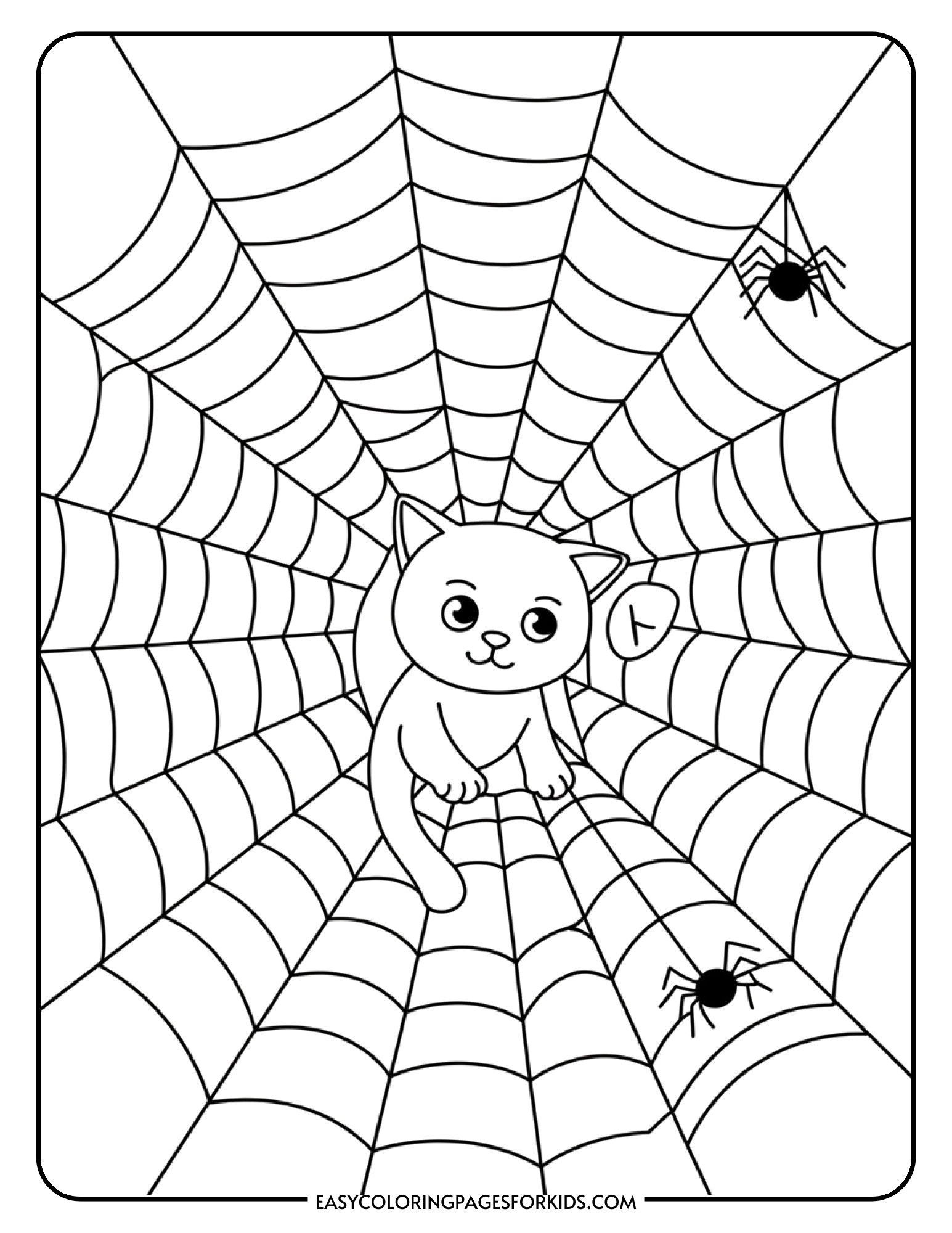 A curious cat finds itself caught in a large decorative spider web with a tiny spider nearby.