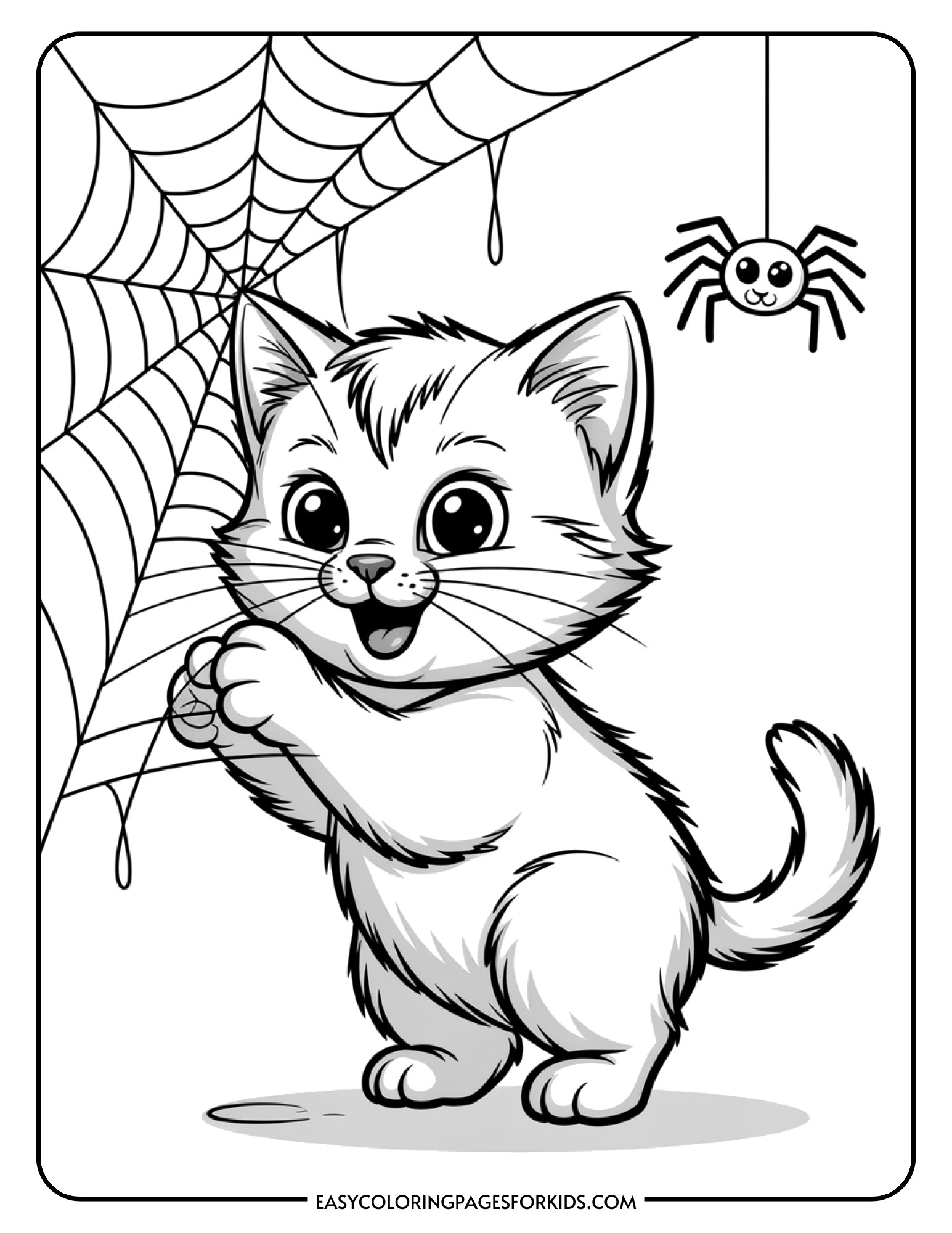 A playful kitten bats at a spider web while a tiny spider looks on.