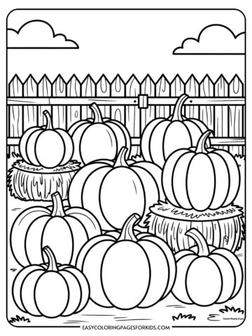 A coloring page showing a pumpkin patch with large and small pumpkins scattered around hay bales and a rustic fence.
