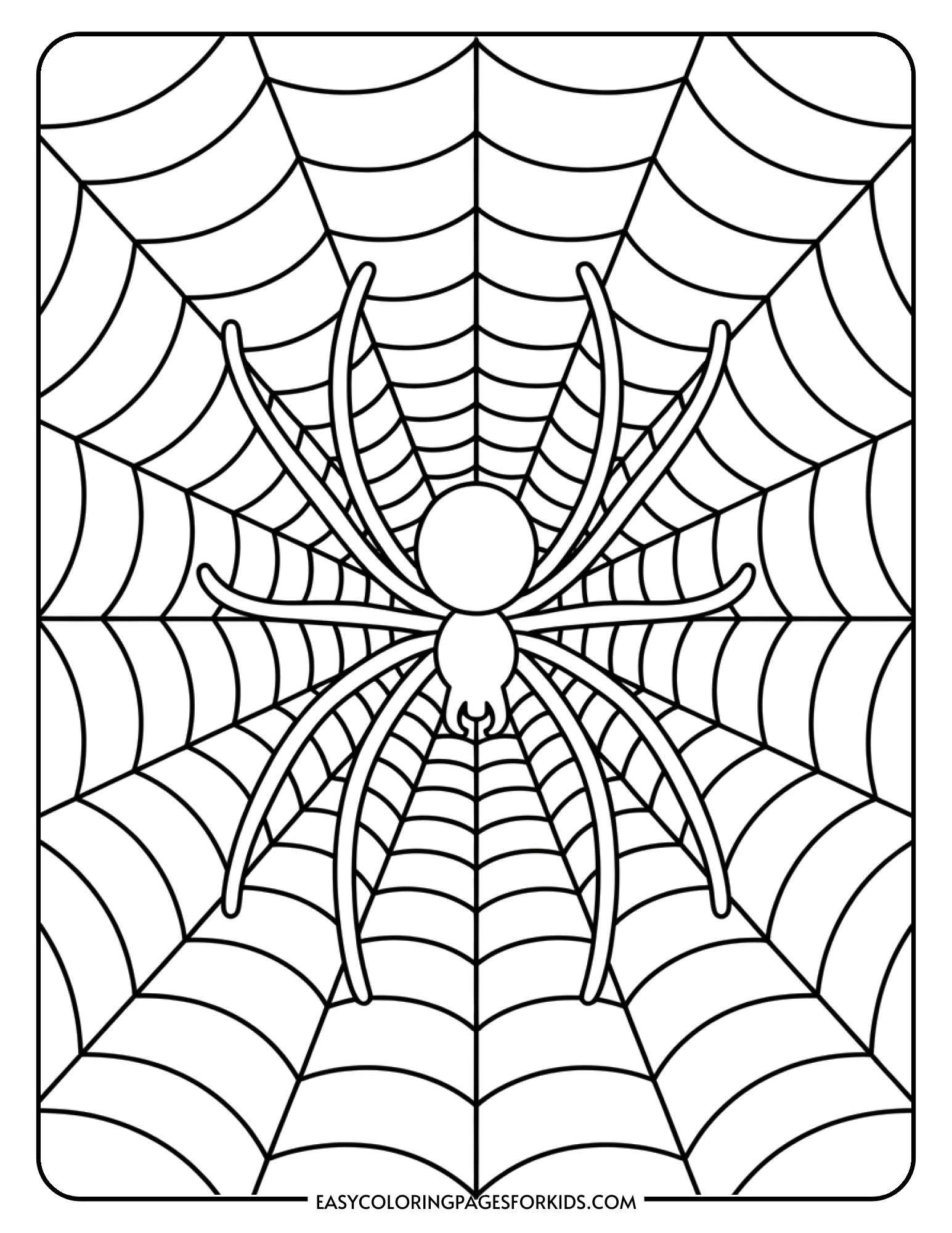 A spider positioned in the middle of an intricate geometric spiderweb.